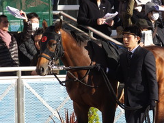 20161224 中山10R クリスマスカップ(1000) オウケンブラック 11