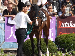 20150921 中山9R 白井特別 ロジダーリング 10
