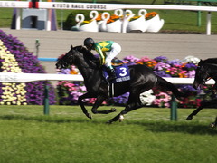 20140504 京都11R 天皇賞春 ノブレス&ゴルシ 02