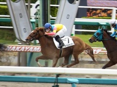 20160326 中山2R 3歳未勝利 オートシャンティ 11