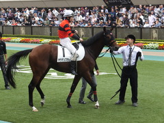 20141026 東京8R オウケンブラック 09