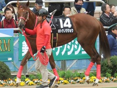 20190310 中山11R アネモネS 3歳牝馬OP オトナノジジョウ 05