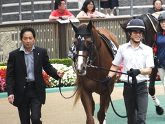 20150627 東京11R 夏至S ランドマーキュリー 03