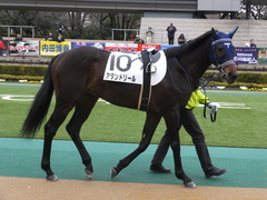20160130 東京4R 3歳未勝利 アタンドリール 03