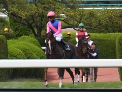 20170910 阪神9R 新涼特別(1000) メイショウノボサン 16