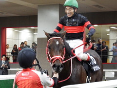 20171104 東京9R 南武特別(1000) ホウオウドリーム 16