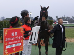 20160123 中山12R 4歳上500万下 オウケンブラック 15
