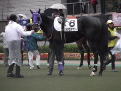 20121117メジロオマリー