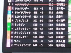 20161130 大井4R 3歳110万下 マルカンヒラリー 02