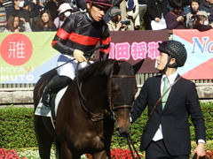 20181125 東京4R 2歳メイクデビュー ホウオウヒミコ 20