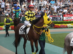 20160612 東京12R 3歳上500万下 ノーブルクリスタル 12