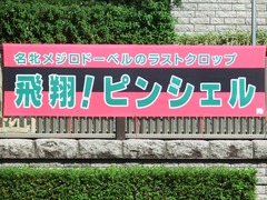 20181007 東京5R 2歳メイクデビュー ピンシェル 01