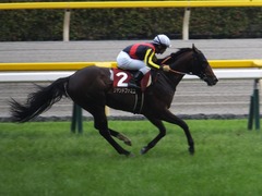 20160529 東京12R 目黒記念(G2) リヤンドファミユ 20
