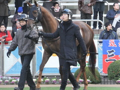 20140118中山競馬場 リネンウッド 05