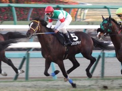 20171228 中山12R ベストウィッシュC (1000) ラッシュアタック 15