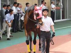20160710 中京10R 木曽川特別(1000) ビップレボルシオン 14