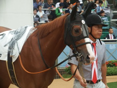 20180930 中山2R 2歳未勝利 クラサーヴィツァ 10