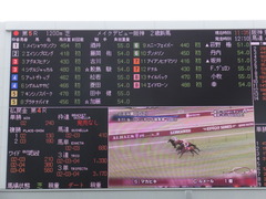 20161002 阪神5R 2歳メイクデビュー プンメリン 02