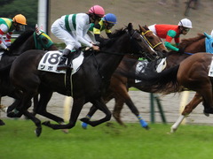 20160605 東京4R 3歳未勝利 ツボミ 20