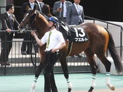 20160508 東京12R(1000)プエルト 02