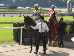 20141025 東京5R ロジダーリング 12