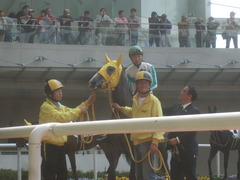 20110402 阪神 未勝利のツボネちゃん