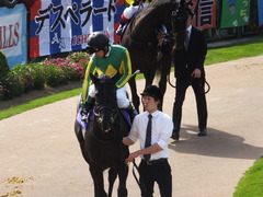 20140504 京都11R 天皇賞春 サトノノブレス 15