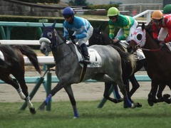 20190106 中山7R 4歳上(500) ウェディングベール 19