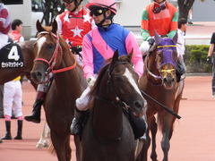 20170910 阪神9R 新涼特別(1000) メイショウノボサン 20