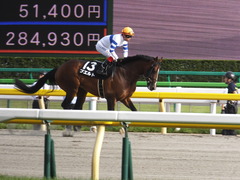 20160508 東京12R(1000)プエルト 14
