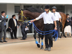 20170930 中山10R 習志野特別(1000) ラッシュアタック 08