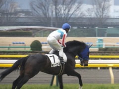 20160220 東京6R 3歳500万下 モーゼス 14