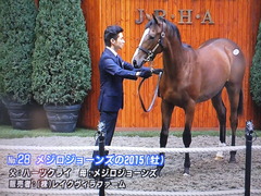 メジロジョーンズ15