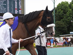 20140915 大井11R 東京記念 ユーロビート 07