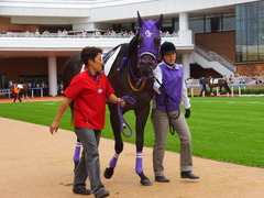 20130901函館ティアップサニー