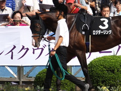 20150921 中山9R 白井特別 ロジダーリング 04