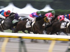 20161022 東京12R (1000) ノーモアゲーム 20