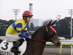 20151224 大井2R 2歳新馬 マルカンヒラリー 16