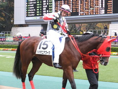 20161119 東京1R 2歳未勝利 パイオニアワーク 12