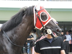 20140628 東京2R トマトリコピン 07