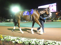 20171129 大井11R 勝島王冠(S3) ユーロビート 06