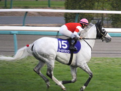 20151227 中山10R 有馬記念(G1) ゴールドシップ 18