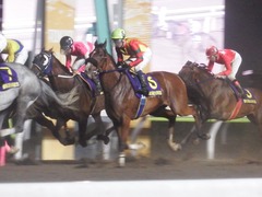 20180523 大井11R 大井記念(S1) ユーロビート 23