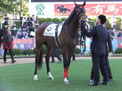 2013 中山競馬場 オウケンブラック 09