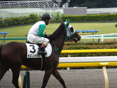20150621 東京5R 2歳メイクデビュー カズノメガミ 13
