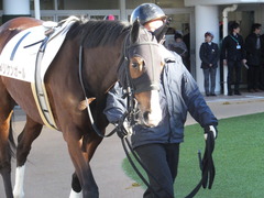 20150110 中山1R 3歳未勝利 メリケンガール 04