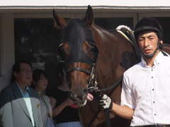 20150912 中山10R 鋸山特別 1000万下 ヴィルトグラーフ 08