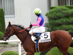 20171014 京都3R 2歳未勝利 メイショウカラタチ 16