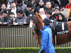 20151129 東京10R ウェルカムS アッシュゴールド 05