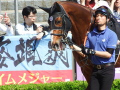 20180429 東京10R 晩春S(1600) クライムメジャー 06
